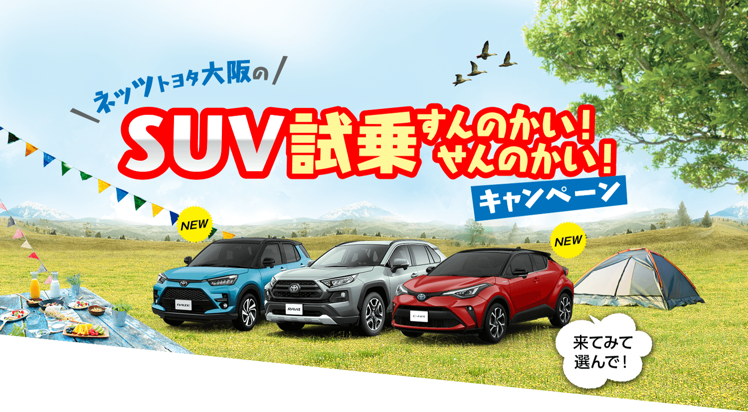 ネッツトヨタ大阪のSUV試乗すんのかい！せんのかい！キャンペーン